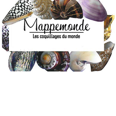 MAPPEMONDE